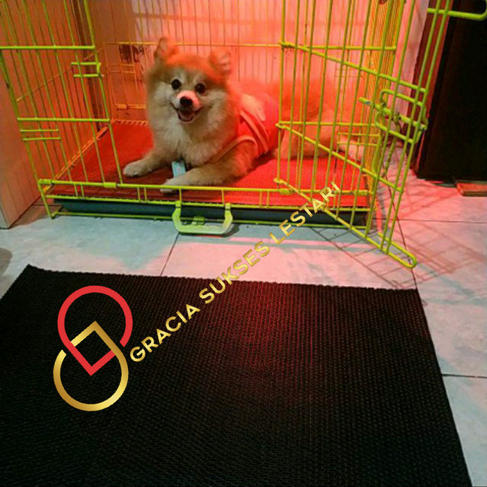 ALAS KANDANG KUCING ANJING KELINCI KURA SUGAR GLIDER 30 x 40