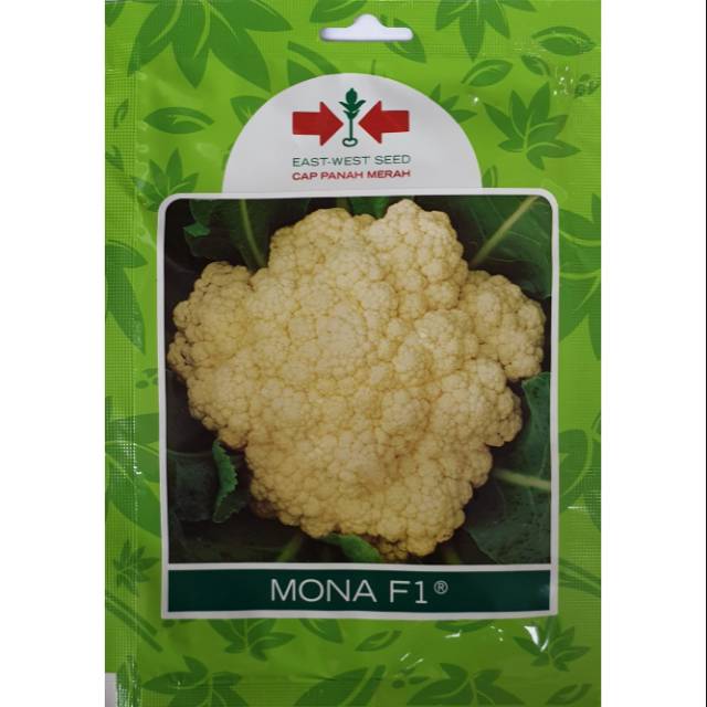 Benih Bibit Bunga Kol Cauliflower MONA F1 Panah Merah