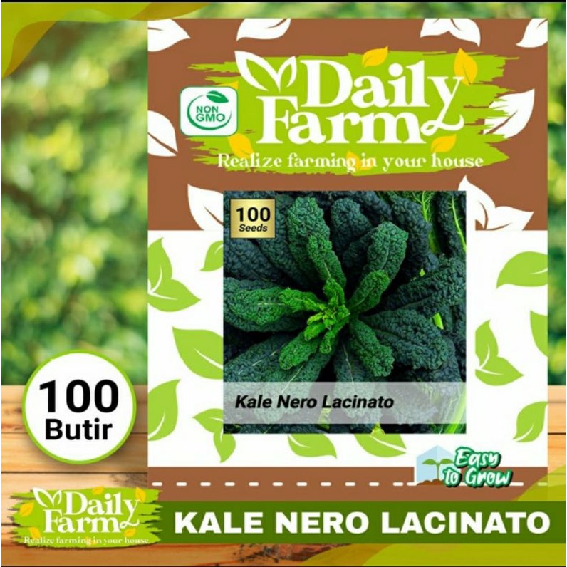 Benih Sayuran - Kale NERO Kale Lacinato - Daily Farm