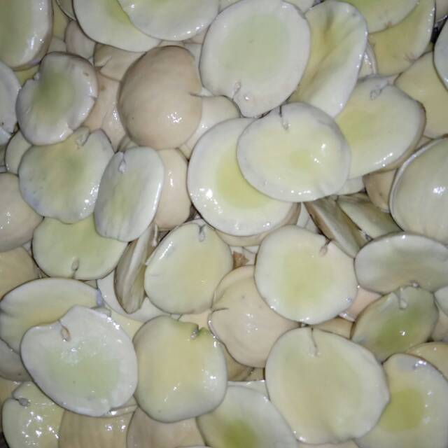 

Jengkol super tanpa aroma