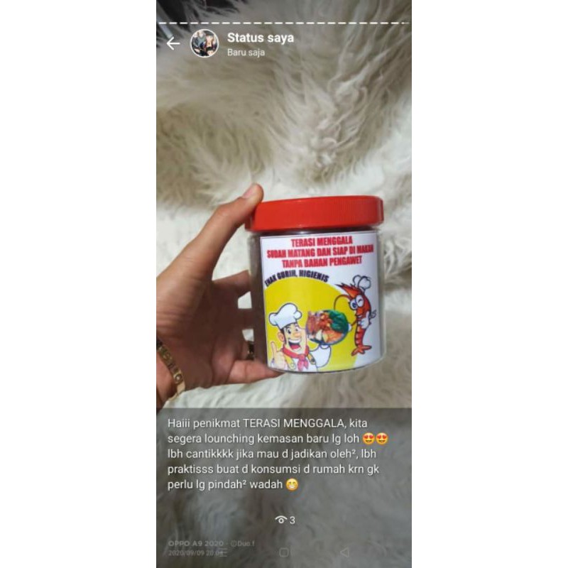 

Terasi Menggala