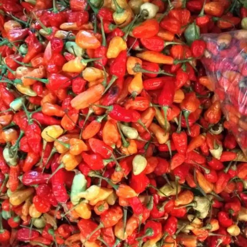 

cabe rawit merah 100 gram