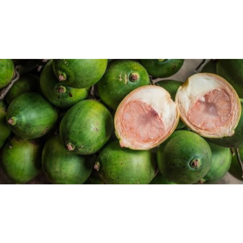 

Buah Pinang muda/500Gram