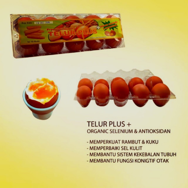 

Telur organik, telur premium plus isi 10 butir