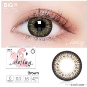 SOFTLENS DARLING NORMAL  BIG EYES 16MM BY X2 EXOTICON-DARLING BROWN