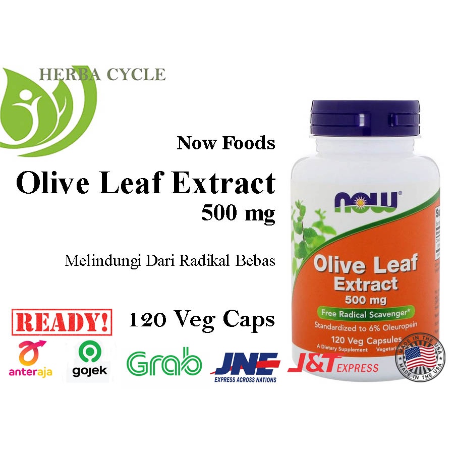 Now Food Olive Leaf Extract 500 mg 120 Veg Cap Now Extrak daun Olive