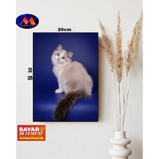 HIASAN DINDING TEMA KUCING/POSTER KAYU GAMBAR KUCING/FOTO GAMBAR KUCING/WALLDECOR