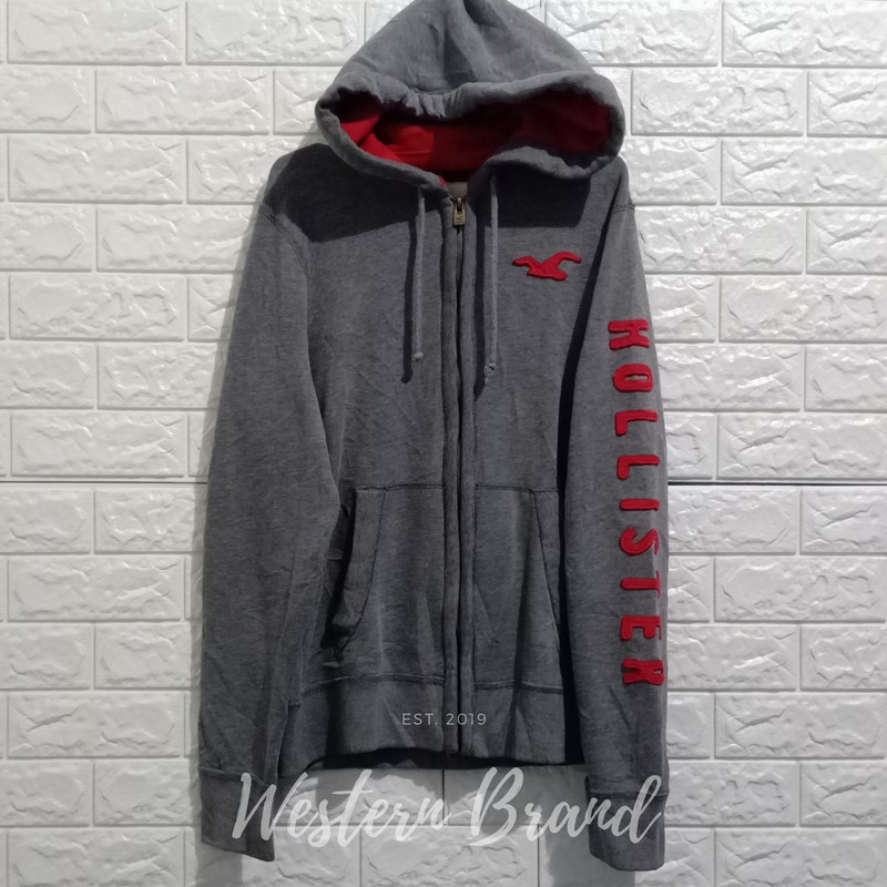 ZIPPER HOODIE HOLISTER