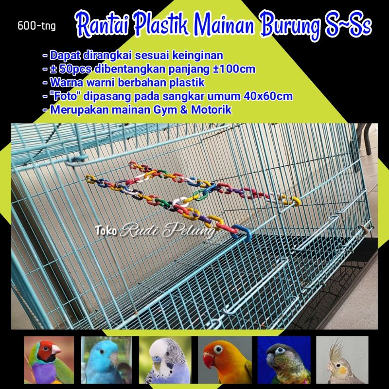 Rantai Plastik Gantungan Ayunan Parrot SG sugarglider