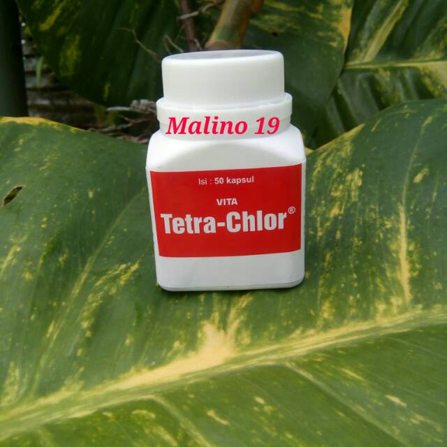 Tetra - Chlor.