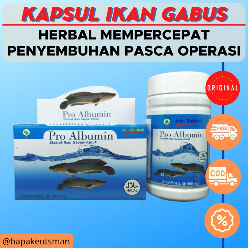 ALBUMIN KAPSUL [PRO ALBUMIN] - IKAN GABUS KAPSUL - IKAN KUTUK KAPSUL - 100% EKSTRAK IKAN GABUS