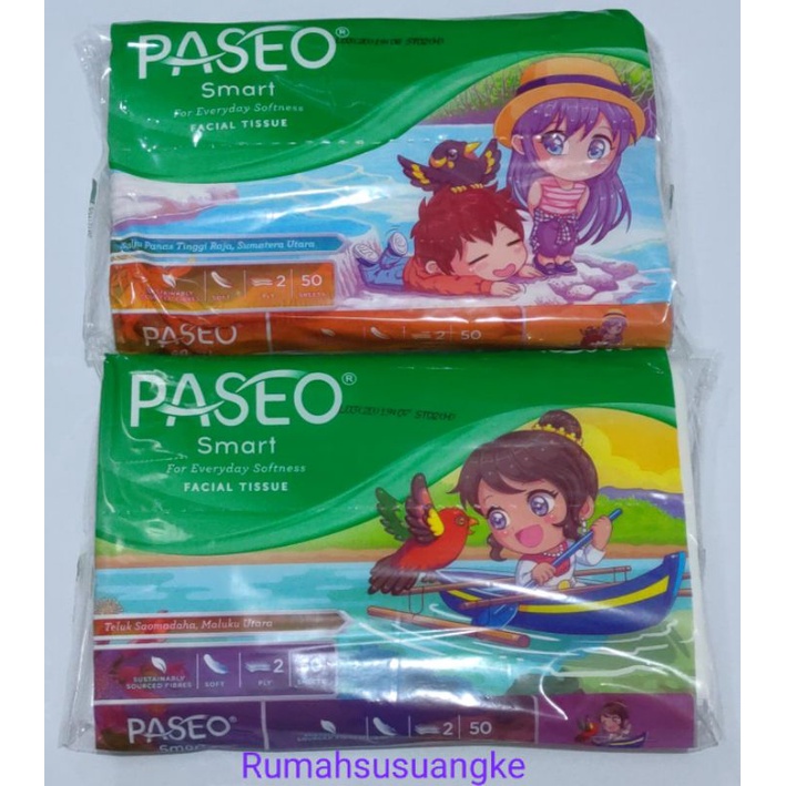 Paseo smart travel 50 sheets