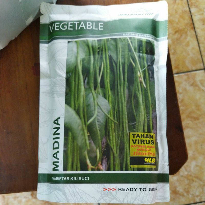 kacang panjang MADINA halbanero