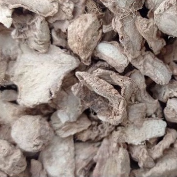 

JAHE EMPRIT 1 KG IRIS KERING