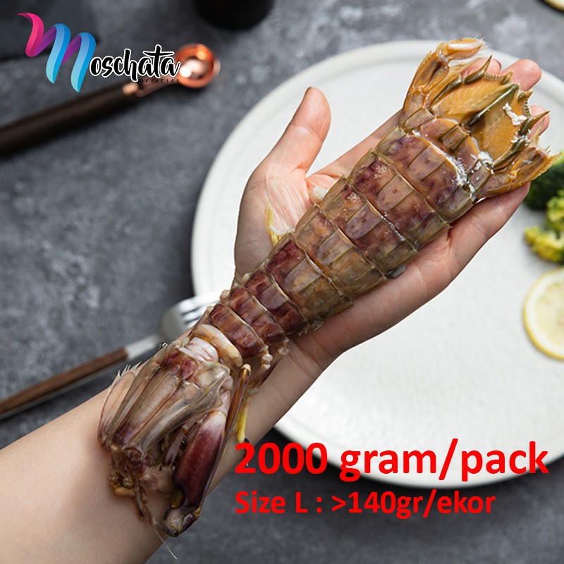 

UDANG RONGGENG / UDANG FROZEN SIZE L 2000gr / UDANG MANTIS / GETAK / EIKO / MENTADAK / UDANG LIPAN