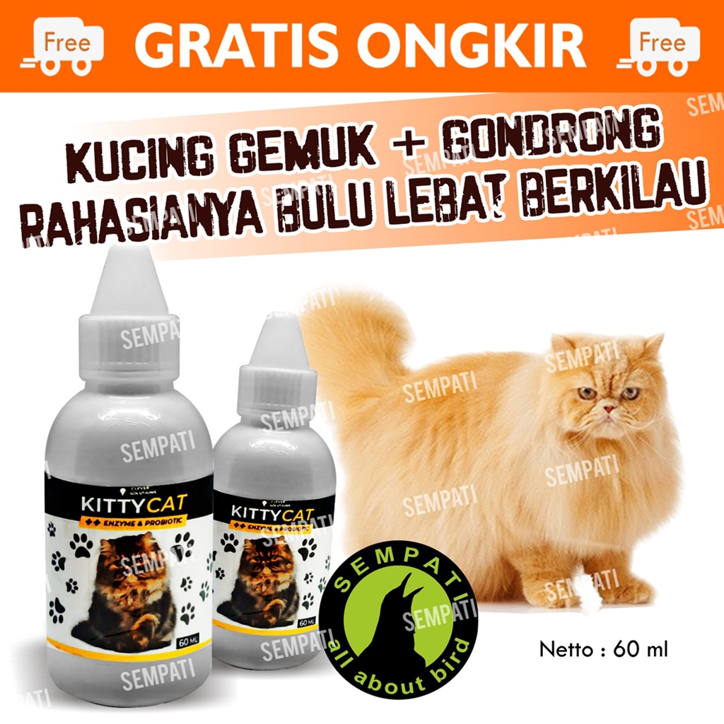 Kitty Cat Obat Penumbuh Bulu Kucing Vitamin Bulu Kucing Anti Rontok Penumbuh Bulu Pelebat Bulu Kitten Anabul Kitty Cat By Clever Solutions