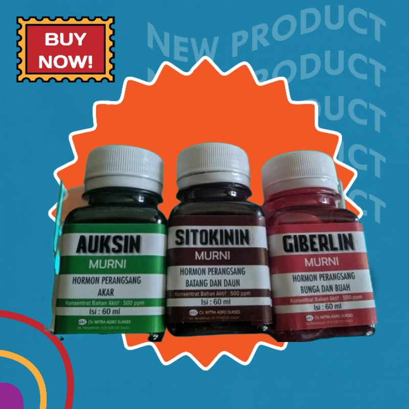 GIBERLIN SITOKININ AUKSIN Hormon Bunga Buah Akar Batang Daun