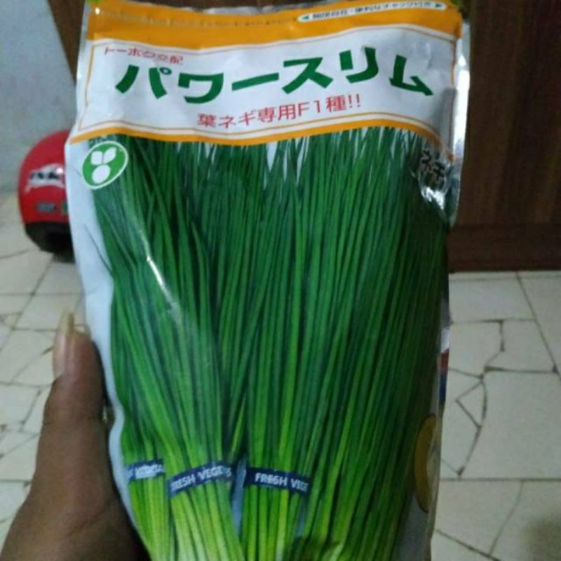 {100 Biji} Benih Bawang Daun Jepang Pawasurimu Repack