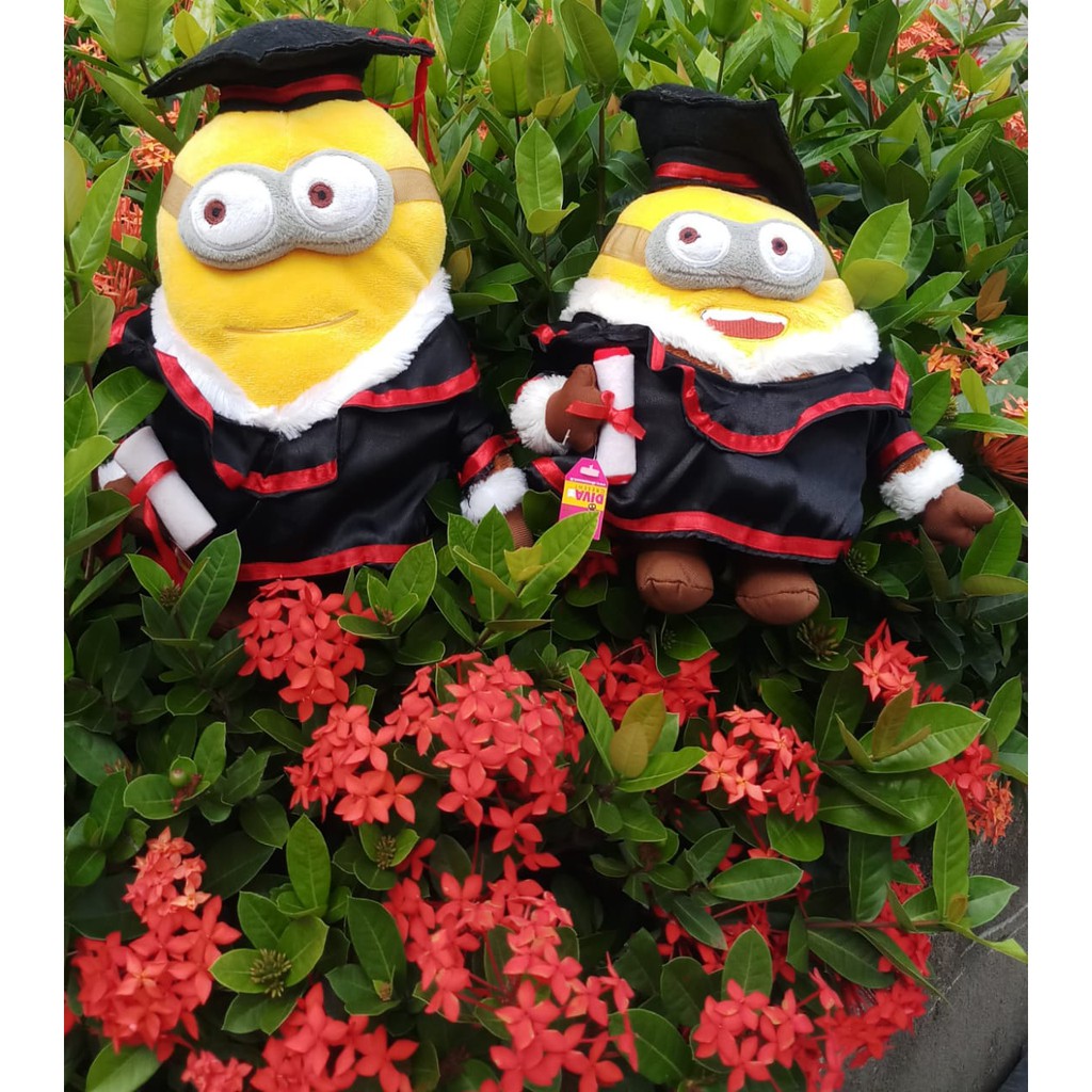 BONEKA MINION TOGA L (DAVE ,GEORGE)