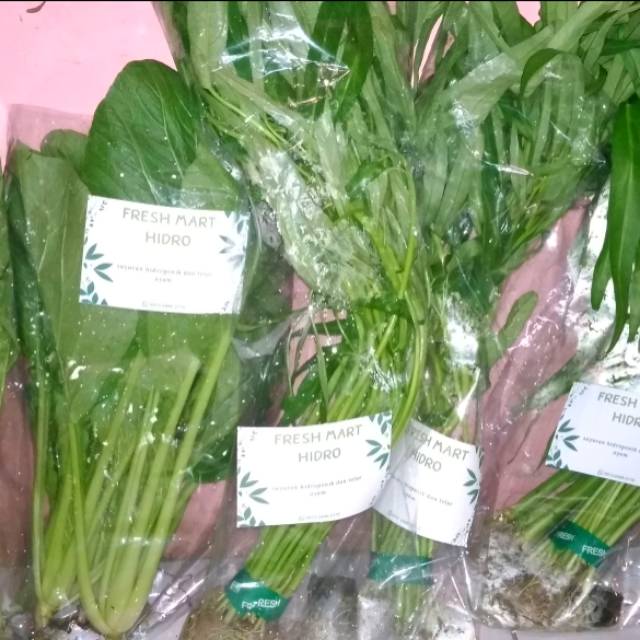 

Sayuran hidroponik