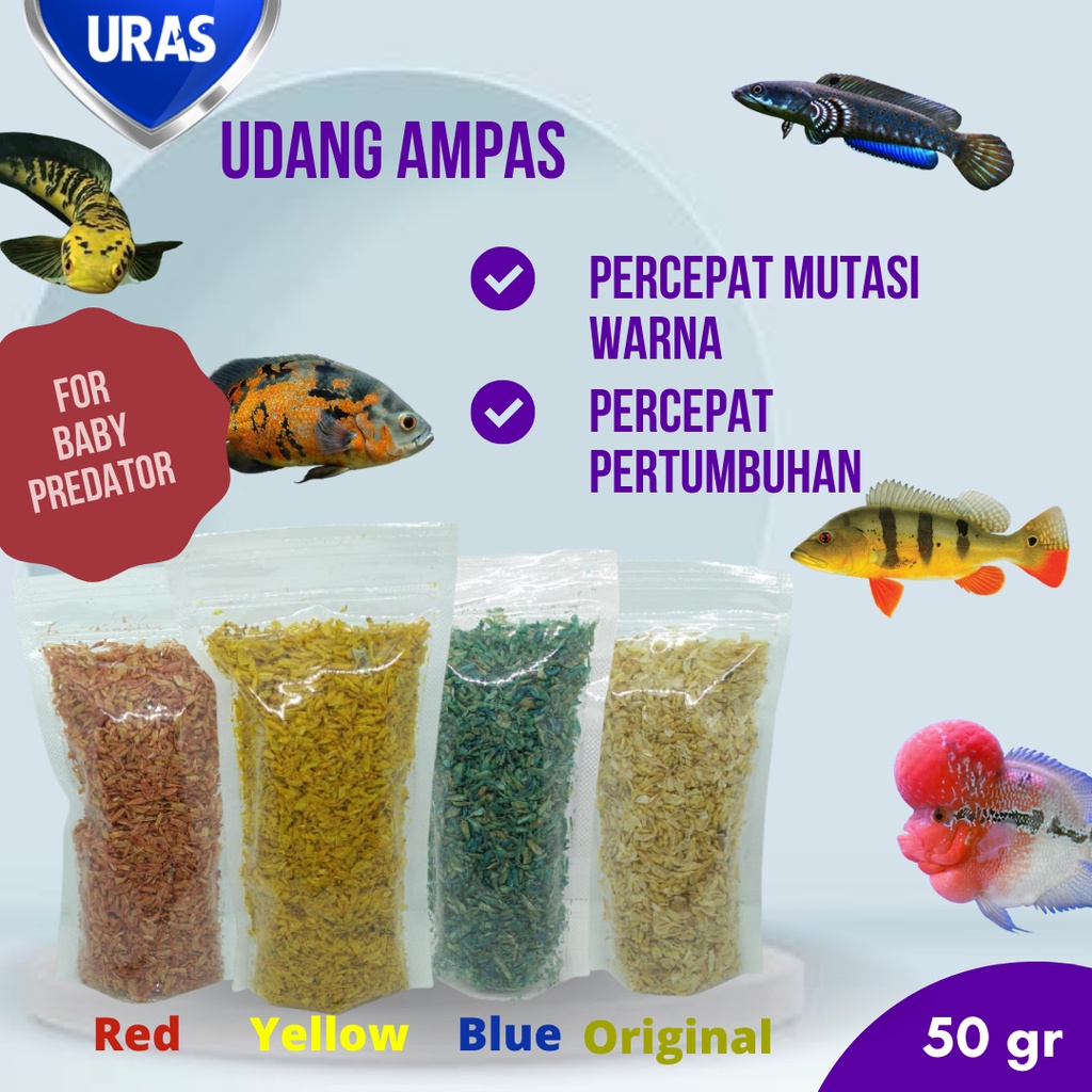 Udang Ampas Kering Pakan Ikan Predator Channa Blue Yellow Red Auranti Stewarti Limbata Pulchra Senta