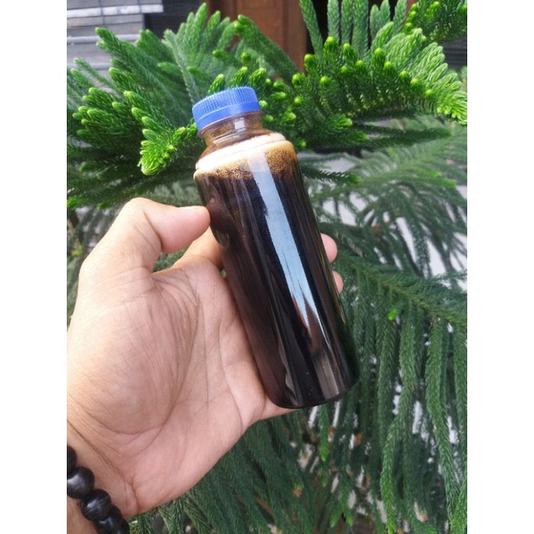 

MADU MURNI AKASIA CARVA