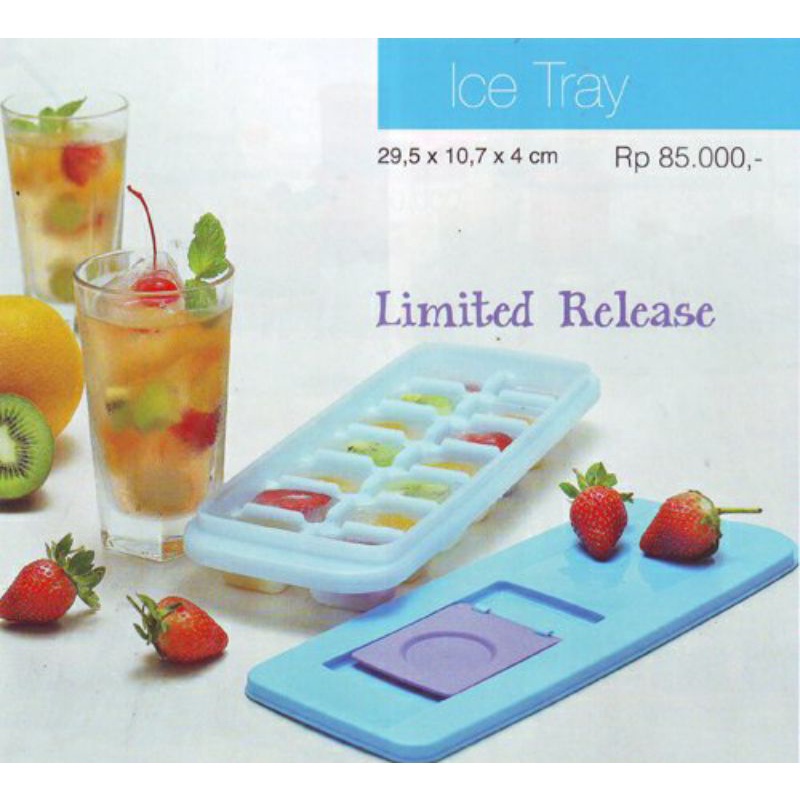 Ice Tray Tupperware