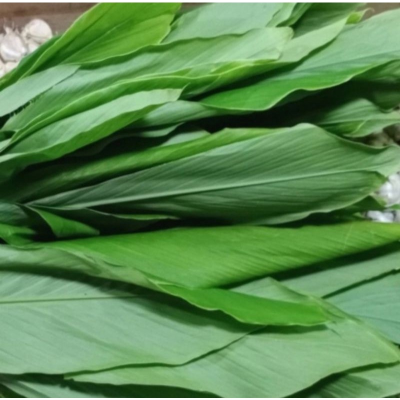

Daun kunyit Segar 250 gram