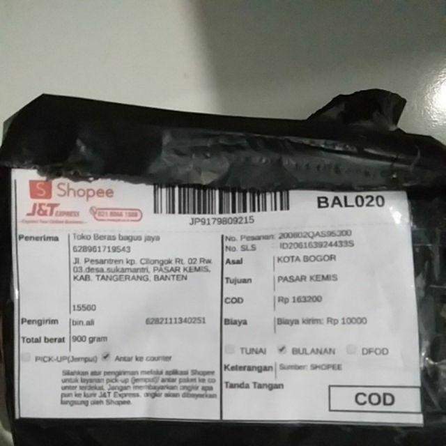 Dupa Kerucut Golden Frog Malaysia Isi 50 Pcs