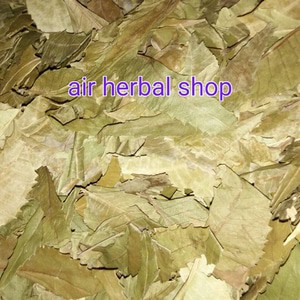 

Daun mimba kering 100 gram