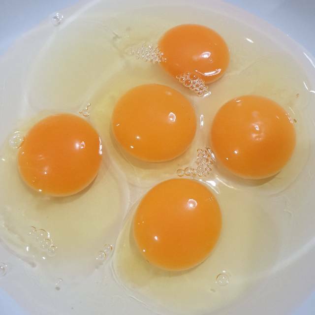 

Telur omega3 Eggstation-tray