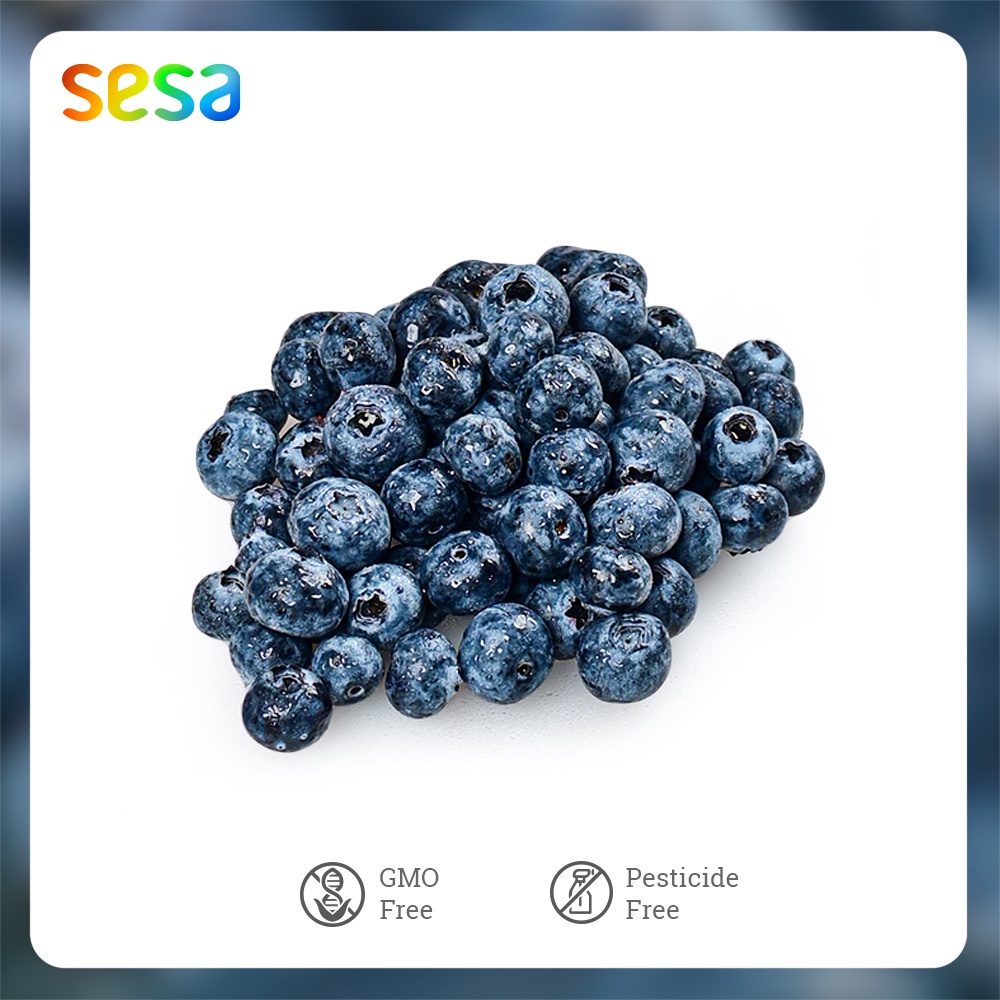 

Buah Blueberry 125 g
