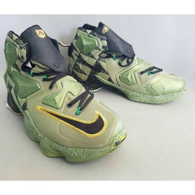 lebron james 13