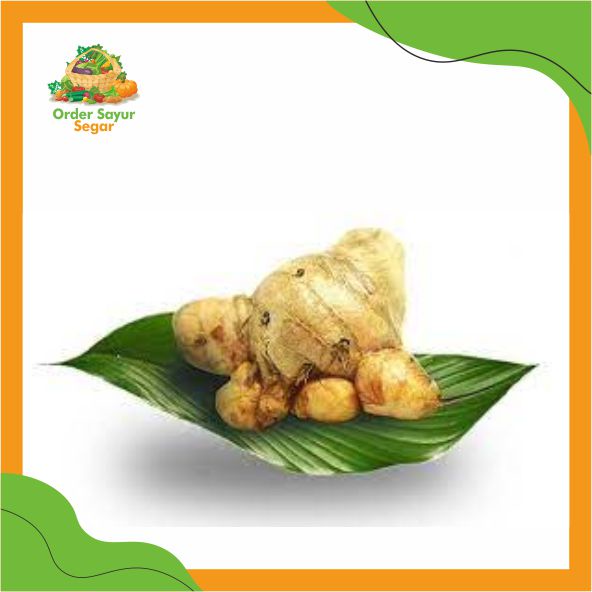 

Temulawak -Rempah Rempah -Bumbu Masak