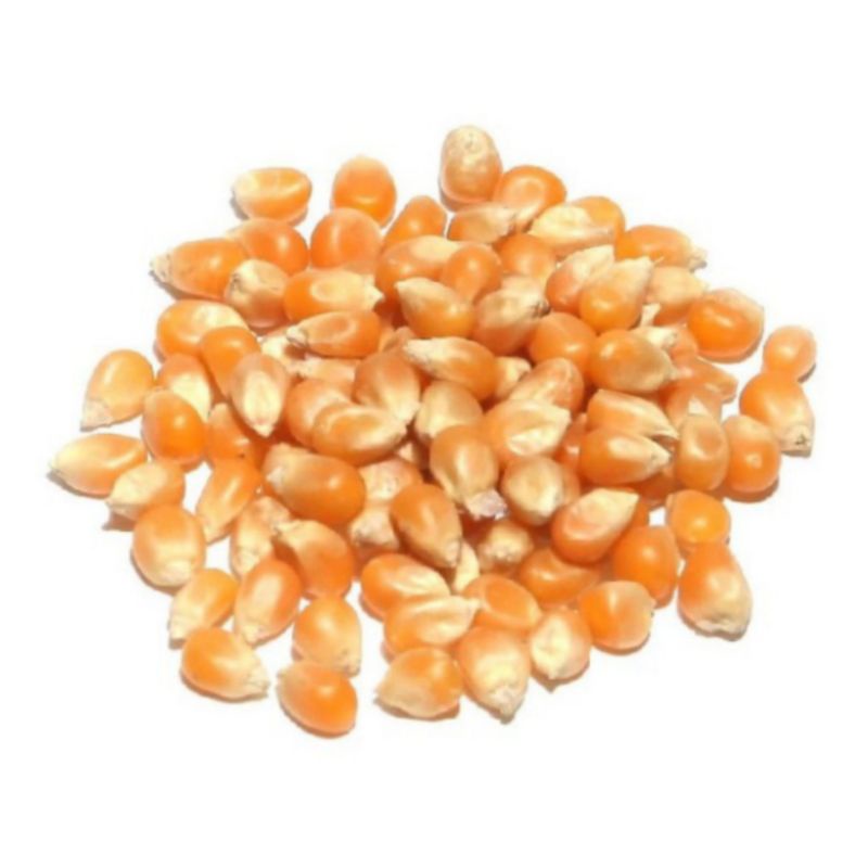 

Jagung Pop Corn 250g