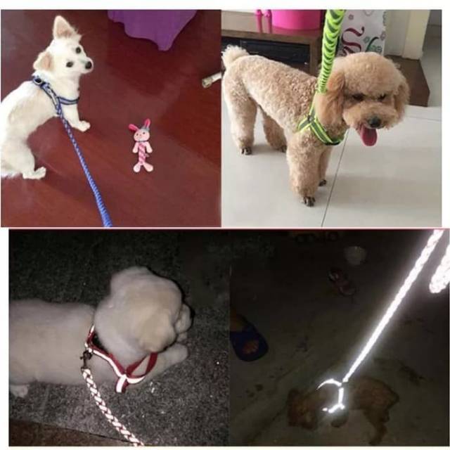 Tali Tuntun Harness &quot;REFLEKTIVE&quot; Anjing Kecil