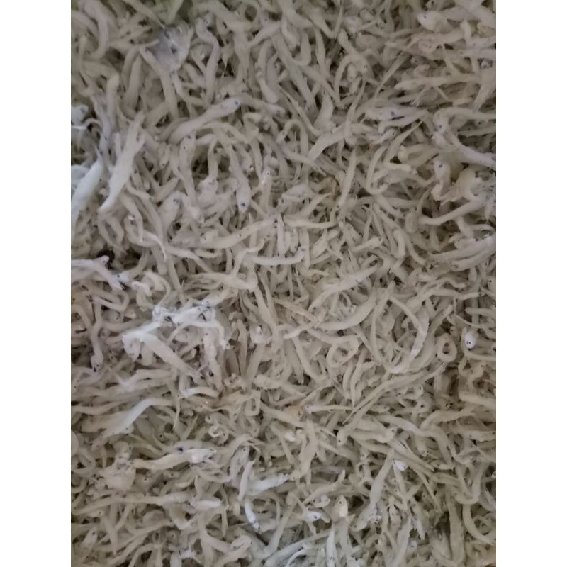 

teri nasi cop
