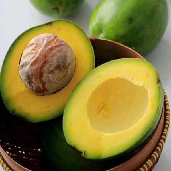 

Alpukat Mentega Matang Buah | Alpukat Utuh Siap Makan