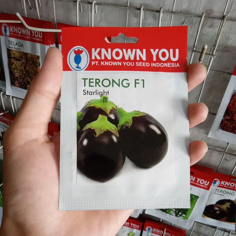 Benih Terung Hitam Starlight F1