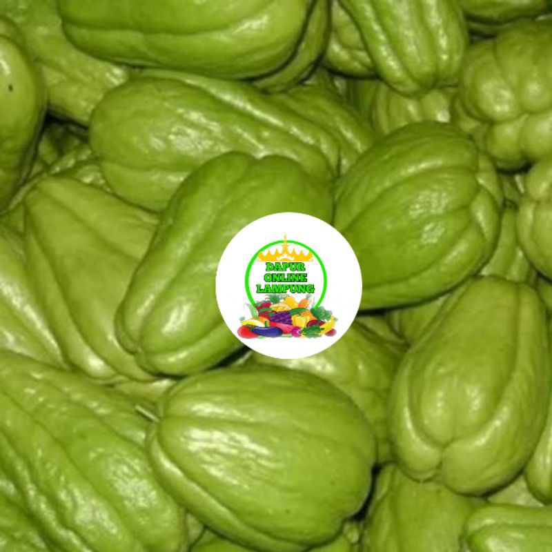 

LABU SIAM / CHAYOTESAYUR / MANISA / MANISAN SAYURAN FRESH Bandar Lampung