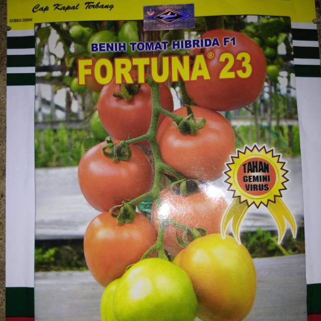 Benih tomat FORTUNA 23 F1