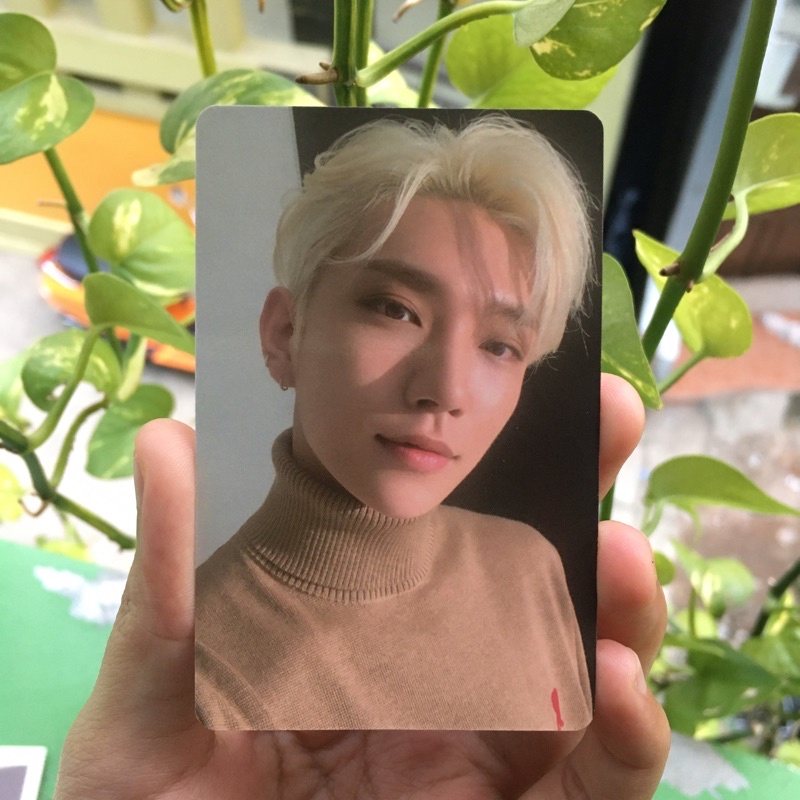 [BOOKED] Trading Card / TC Incomplete Joshua Selca Silau