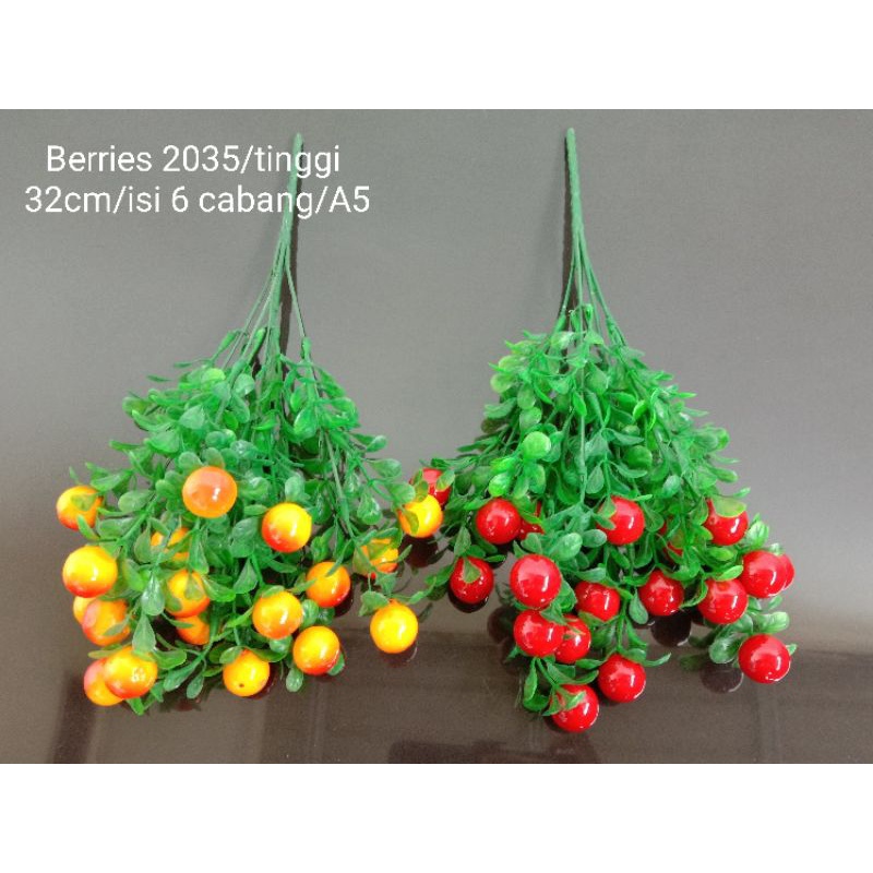 Tanaman Berries Plastik 2035