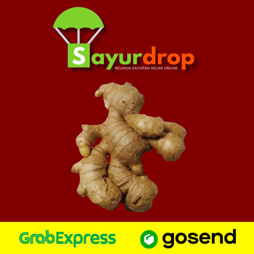 

Jahe Gajah Sedang 100 Gr - Segar Higienis Murah Cepat - Instant/Same Day Delivery (Sayurdrop)