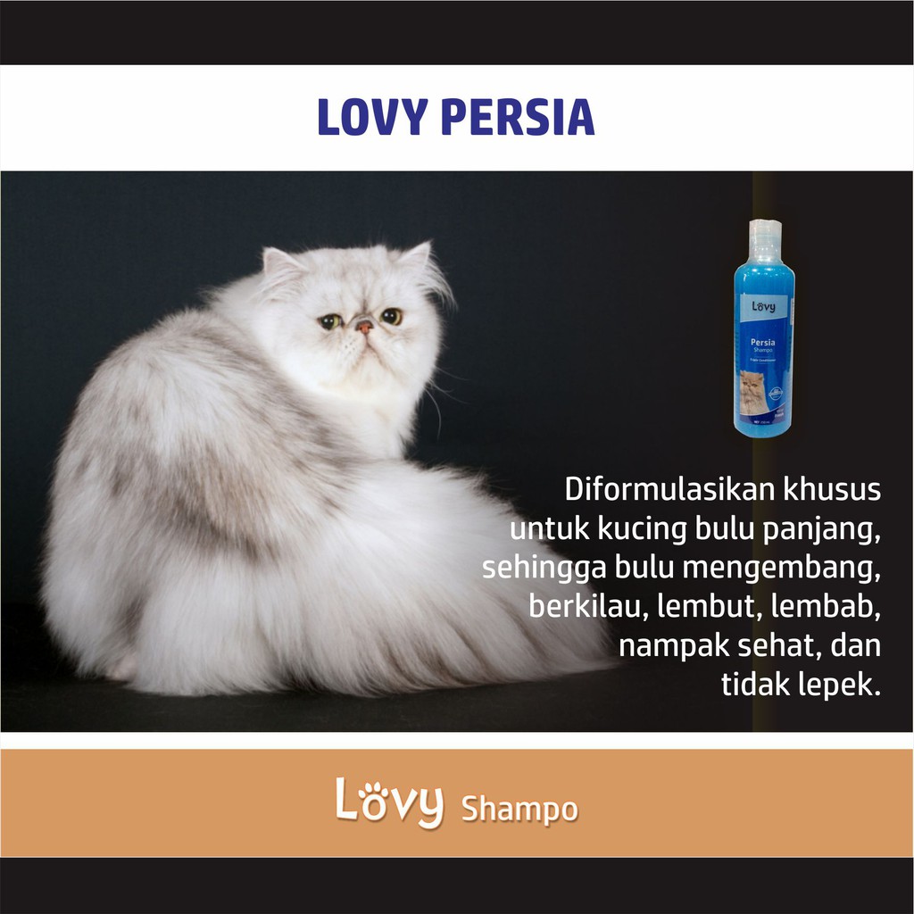 Shampo Kucing Lovy PERSIA 5 LITER