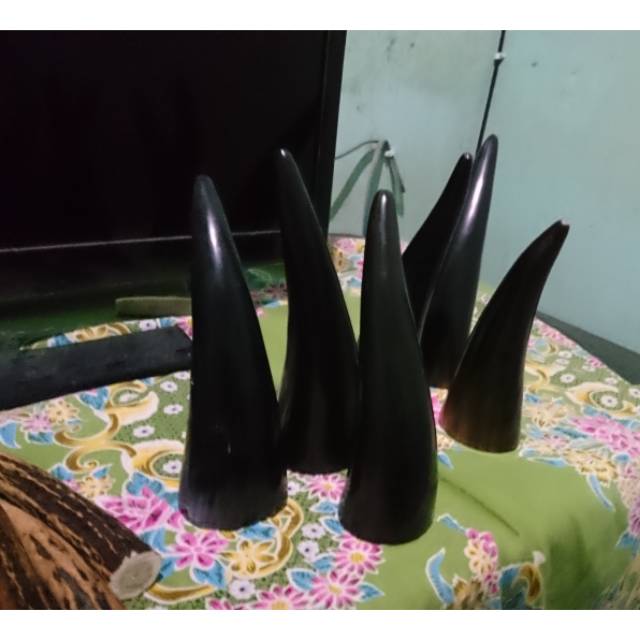 

Kop bekam tradisional dari tanduk sapi