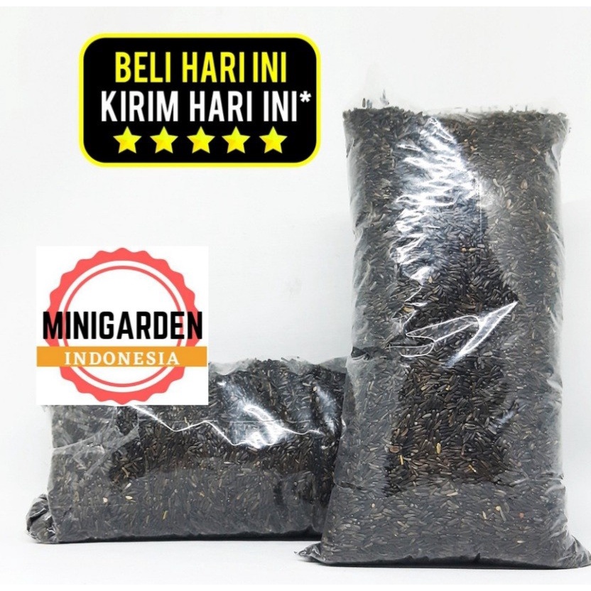 NIGER SEED 500GRAM pakan makanan burung biji nigger seed lovebird finc