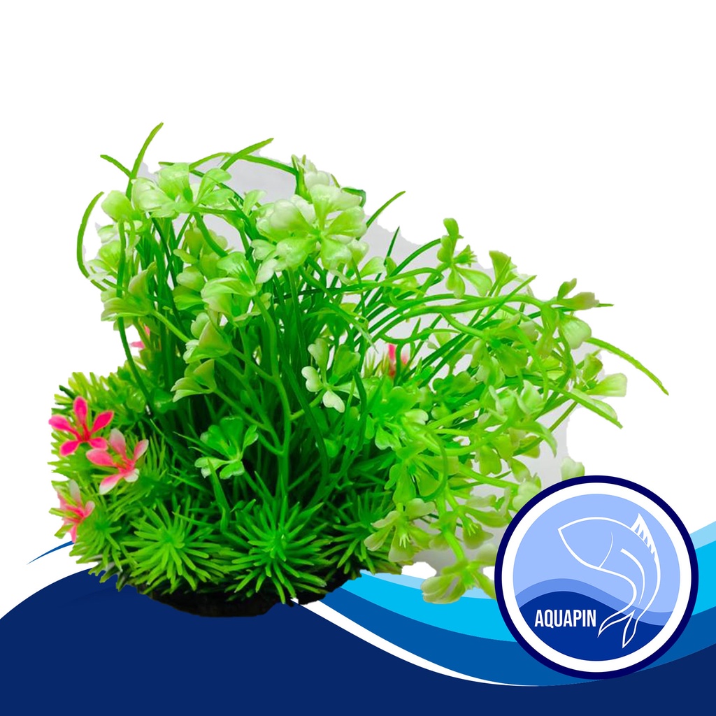 Hiasan Aquarium Tanaman H