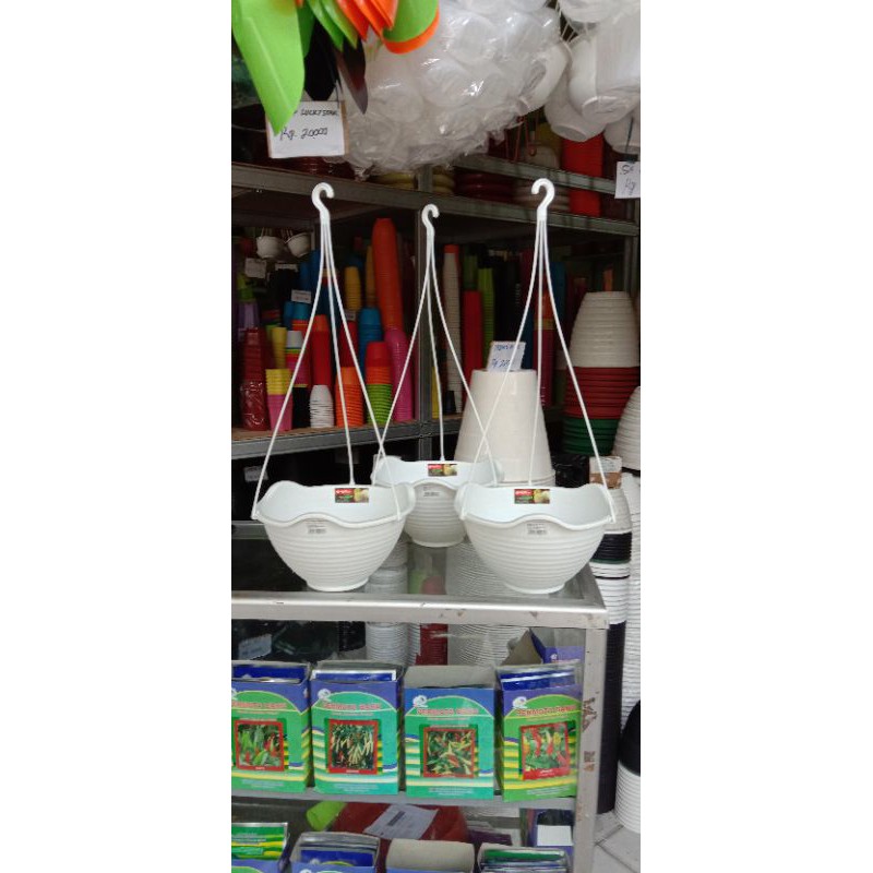 Pot Bunga Gantung Lion Star Florina 8 putih