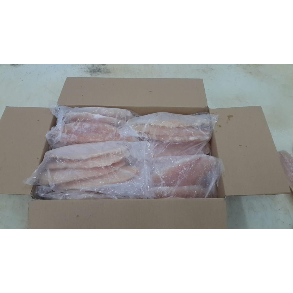 

Ikan Pati/dori (Pangasius)